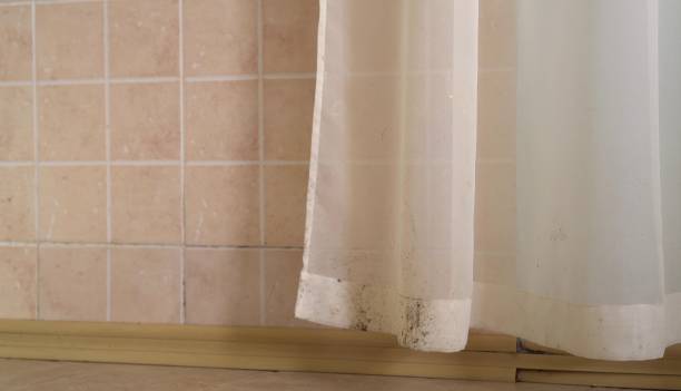 Best Mold Documentation for Insurance Claims  in Kaibab Estates West, AZ