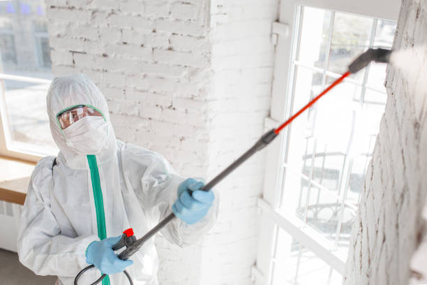 Best Emergency Mold Remediation  in Kaibab Estates West, AZ