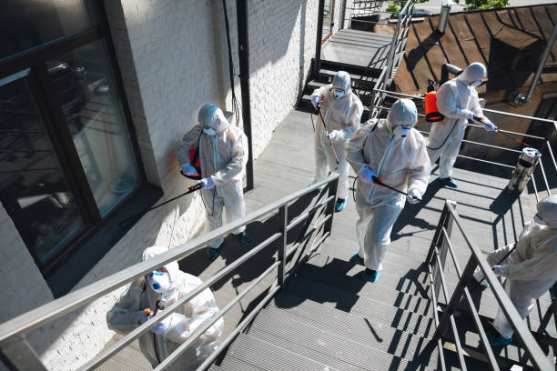 Best Mold Prevention Services  in Kaibab Estates West, AZ