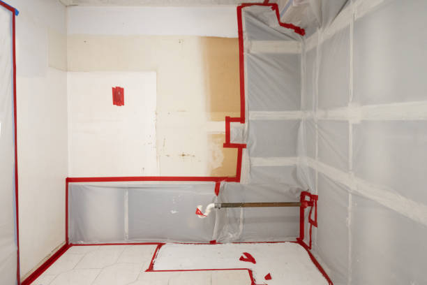 Best Air Quality Testing for Mold Spores  in Kaibab Estates West, AZ