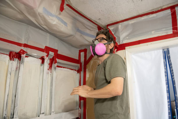 Best Asbestos and Lead Testing During Mold Inspection  in Kaibab Estates West, AZ
