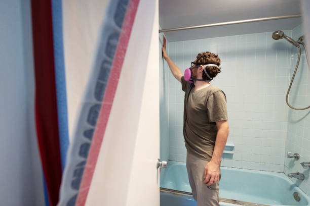 Best Mold Removal for HVAC Installations  in Kaibab Estates West, AZ