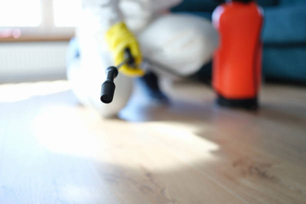 Best Comprehensive Air Testing for Mold Contaminants  in Kaibab Estates West, AZ