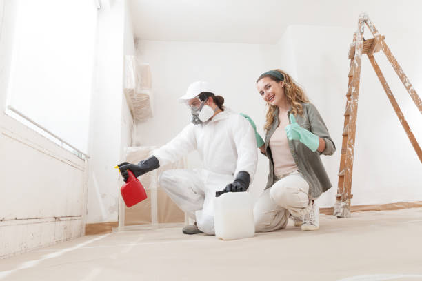 Best Indoor Air Quality Assessment  in Kaibab Estates West, AZ