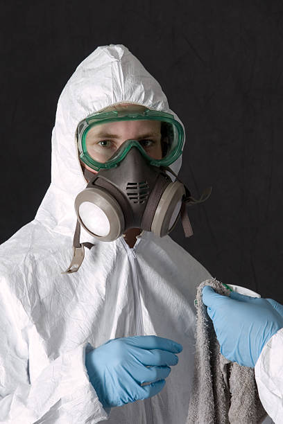  Kaibab Estates West, AZ Mold Removal Pros